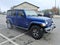 2019 Jeep Wrangler Unlimited Sahara 4x4