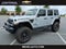 2023 Jeep Wrangler 4-Door Rubicon 20th Anniversary 4x4