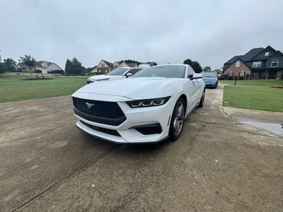 2024 Ford Mustang EcoBoost Premium Fastback
