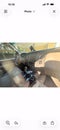 2012 Ford Expedition EL King Ranch