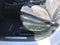 2016 Ford Edge Sport
